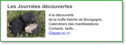 decouverte de la truffe de bourgogne